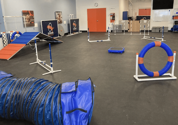 Images Zoom Room Dog Training - Littleton