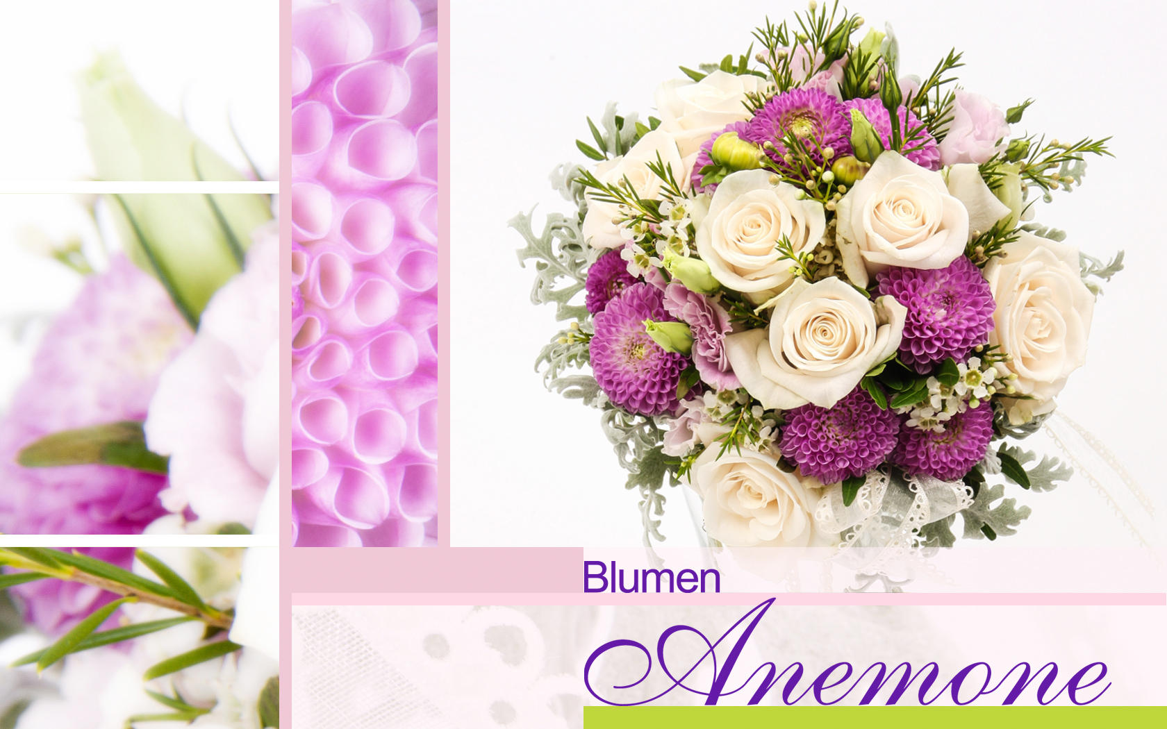 Bild 6 Blumen Anemone in München