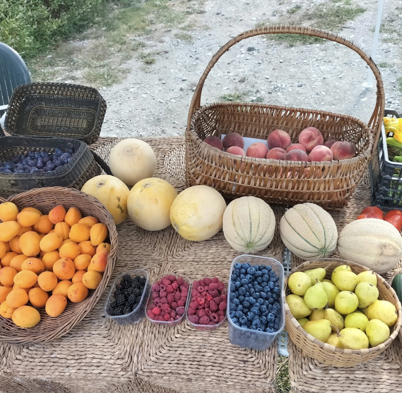 Images Azienda Agricola e Fattoria Didattica Nel Giardino di Tamara