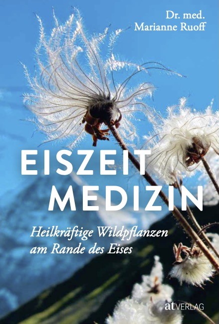 Praxis für Akupunktur, TCM, Phytotherapie, Kräutermedizin, Tibetische Medizin, Kirchenfeldstrasse 31 in Bern