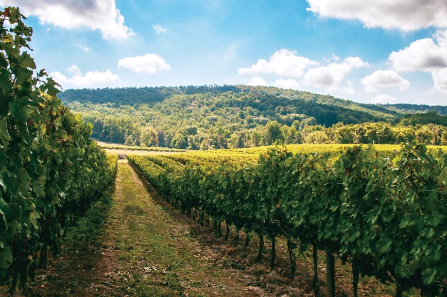 Minutes from wineries, breweries, and more