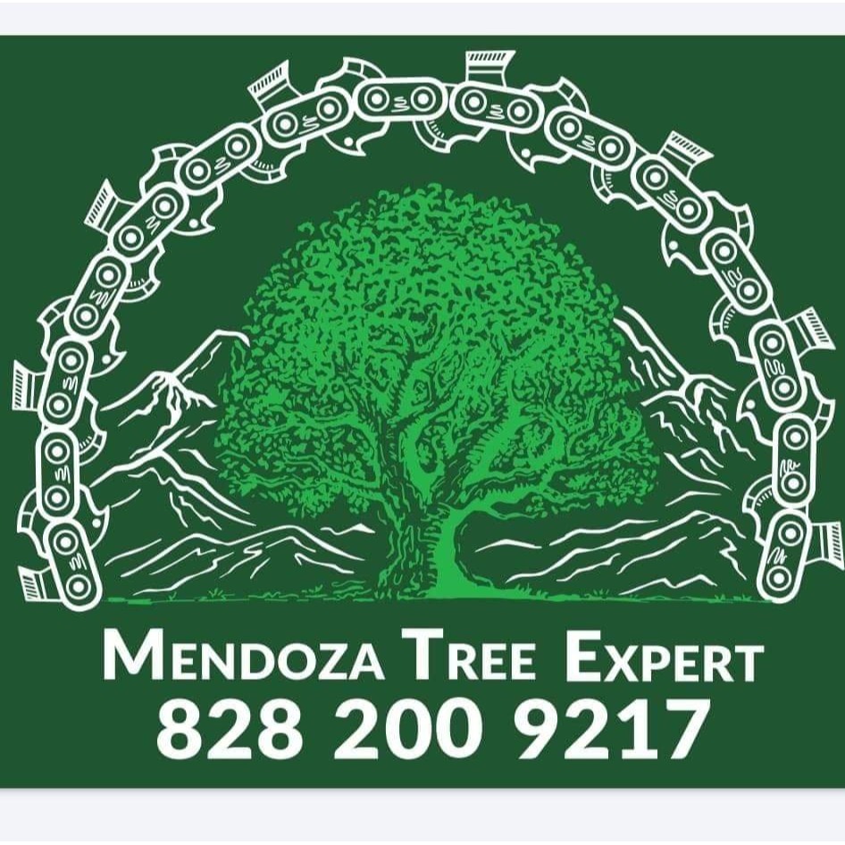 Mendoza Tree Expert Logo
