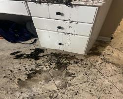 Images Restoration 1 of Waukegan