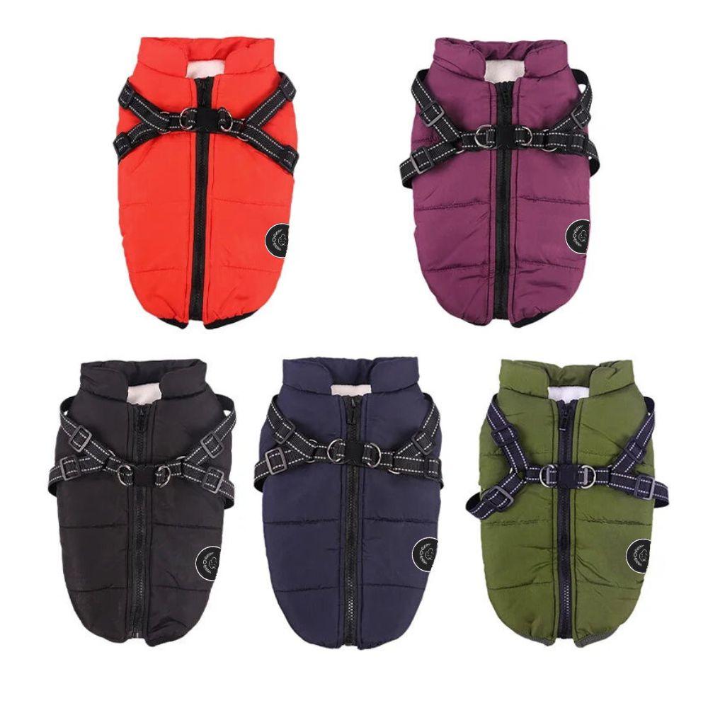 HUNDESCHATZ in Mandelbachtal