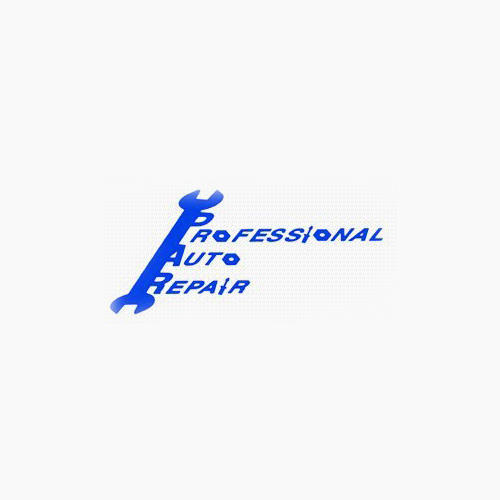 Professional Auto Repair Logo