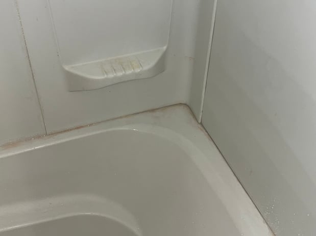 Images Next Level Clean