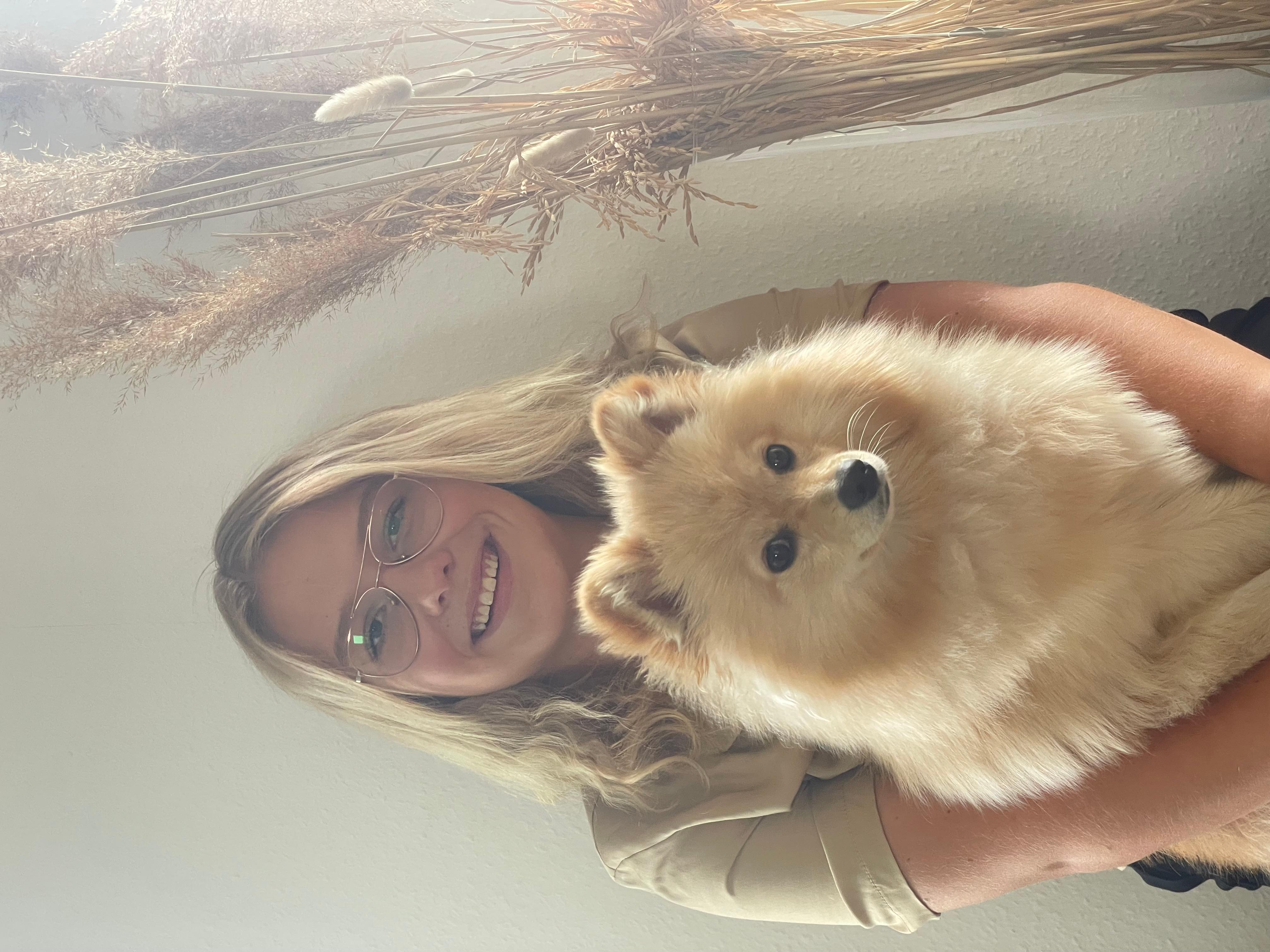 Mahalo Bestattungen - Hannover, Am Marstall 19 in Hannover