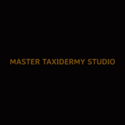 Master Taxidermy Studio Inc Logo