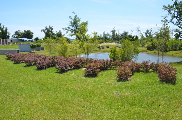 Images Evergreen Memorial Gardens - KFL