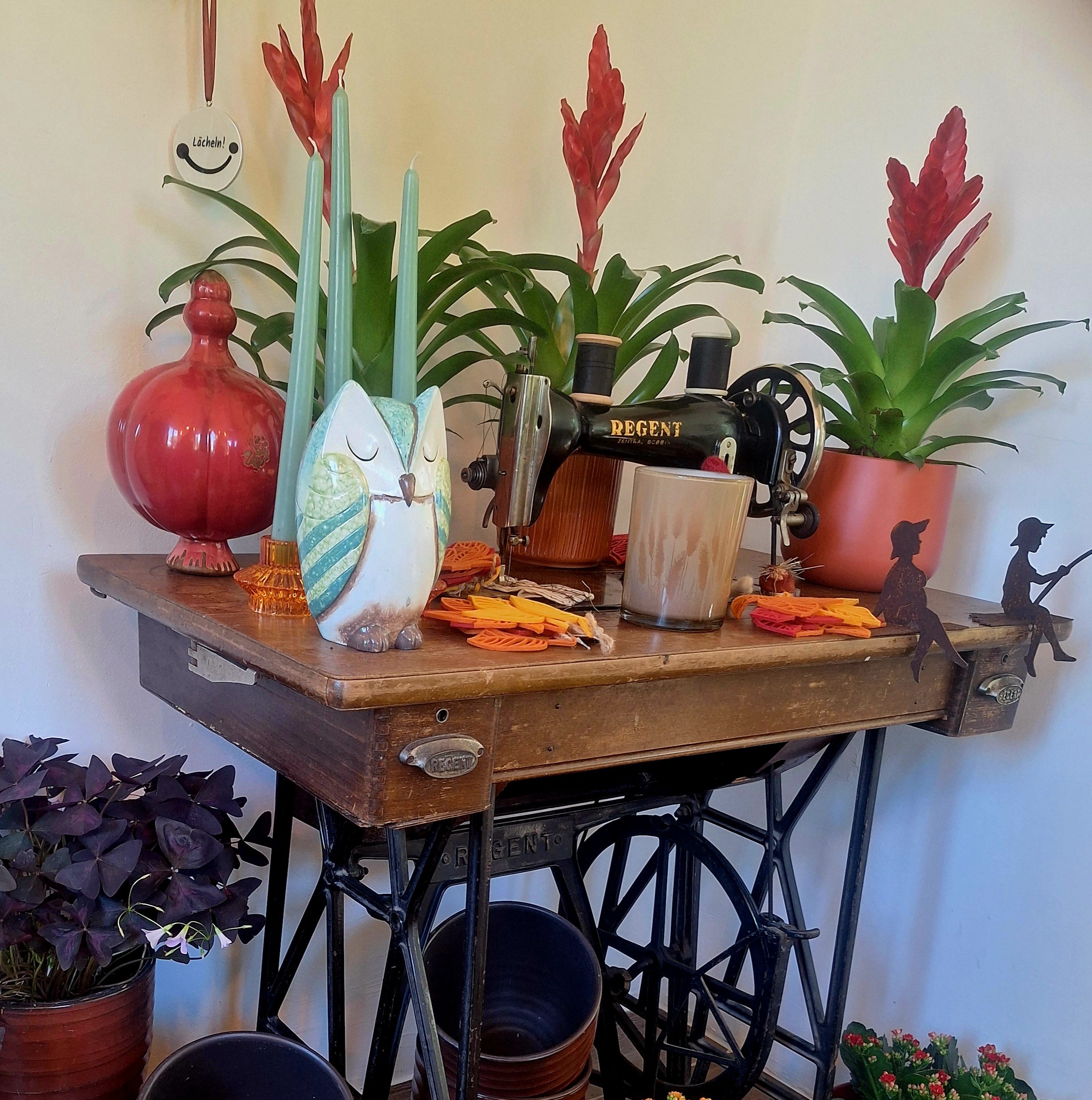 Bild 16 von Grün-Zone