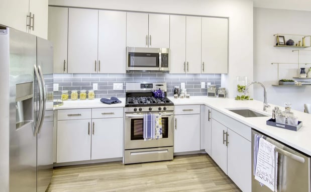Images The Enclave