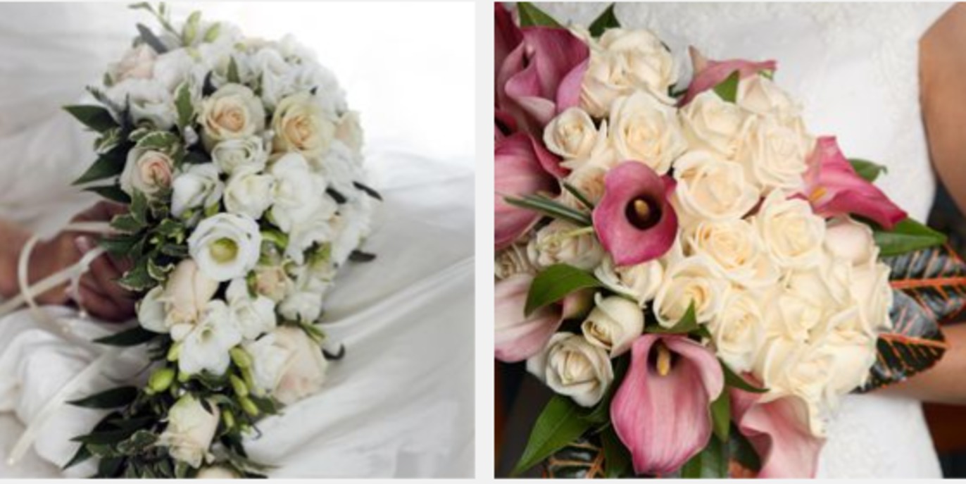 Images Skåneblommor AB