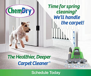 spring cleaning seattle wa Chem-Dry of Seattle Seattle (206)783-1003