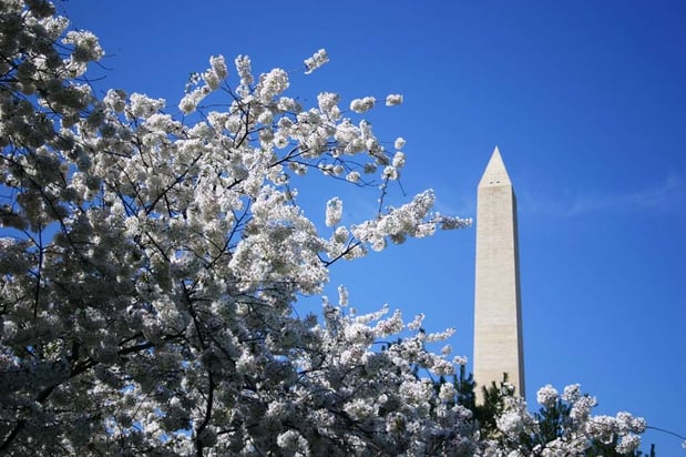 Images Embassy Suites by Hilton Washington DC Chevy Chase Pavilion