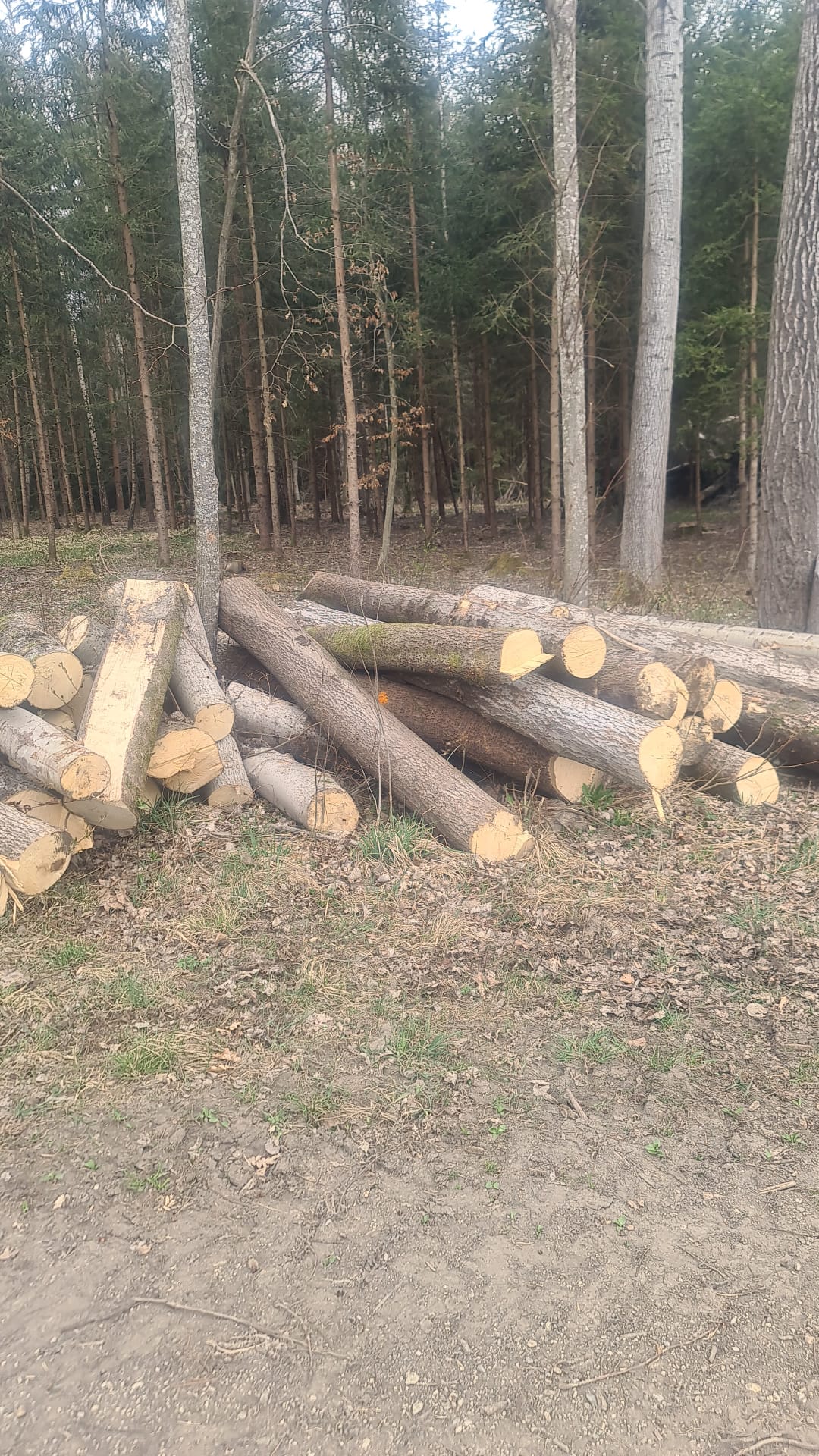 Alles rund ums Haus & Holzfällungen, Oberholzham 25 in Bruckmühl