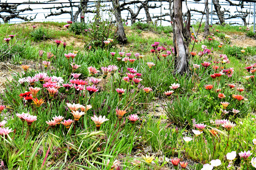 Images Michael Watz Photography