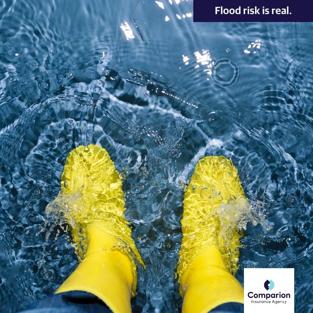 Images Iestyn Llyr Dulais at Comparion Insurance Agency