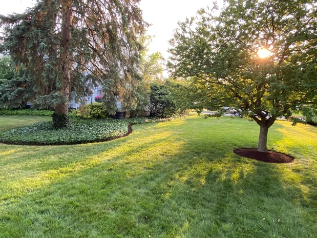 Images Superior Service Lawn Care