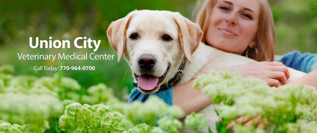 Images Union City Veterinary Medical Center & Emergency Clinic