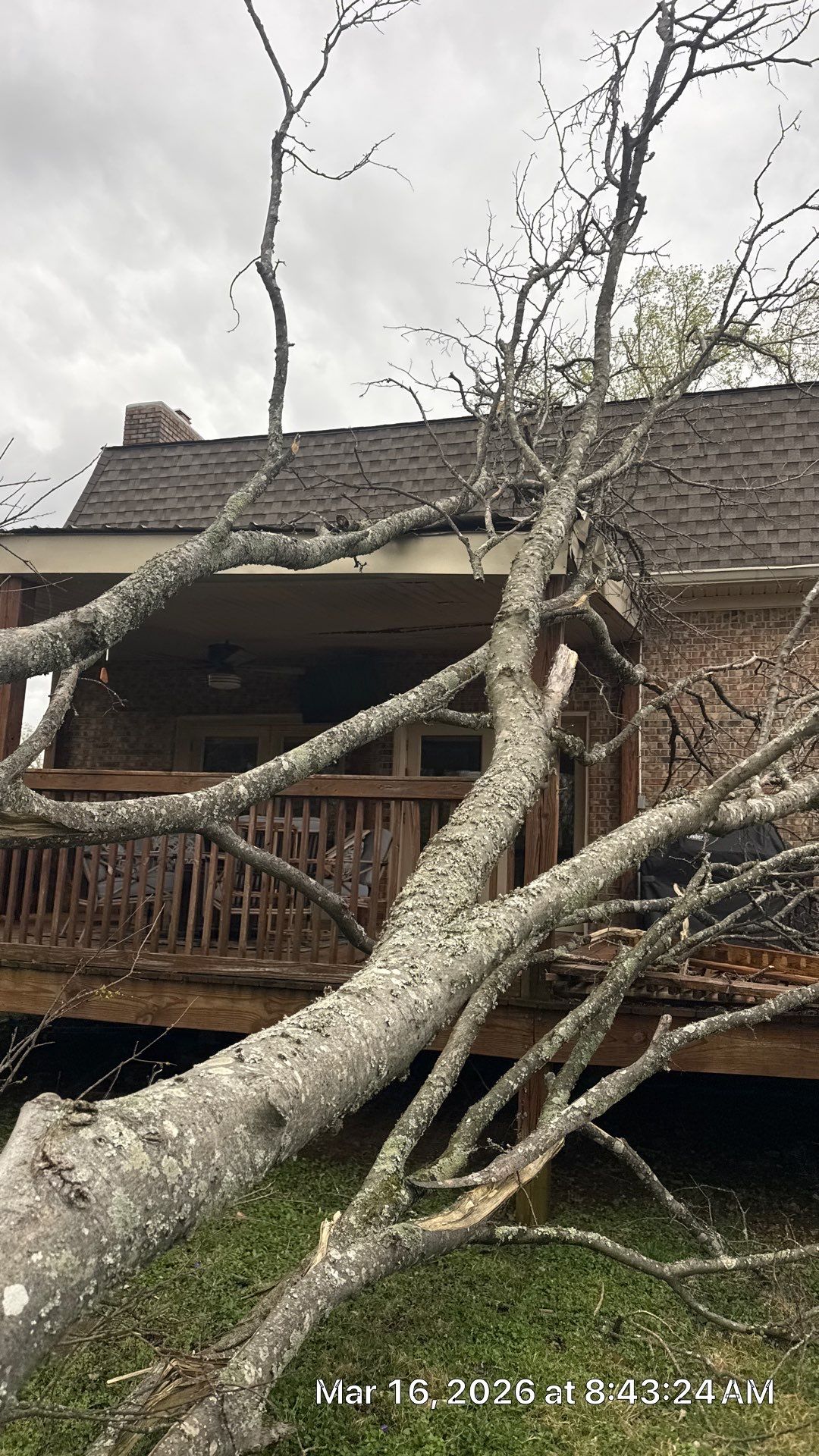 Tree Masters of Tennessee