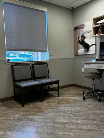 Images VCA Cottonwood Animal Hospital