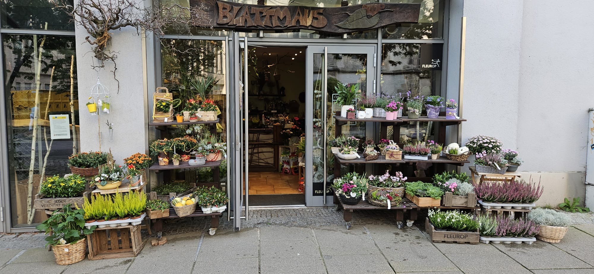 Bilder Blumengeschäft Blattmaus