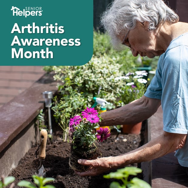 Images Senior Helpers