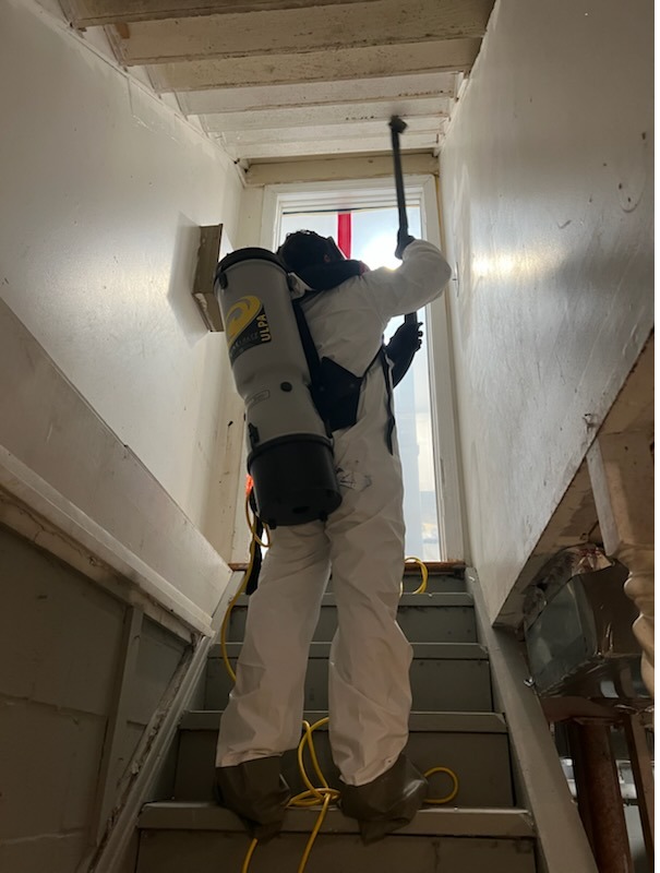 Images Quality Mold Remediation LLC