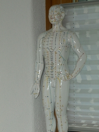 Traditionellen Chinesischen Medizin Praxis Hildegard Kunz, Sonnhaldenstrasse 3 in Uster