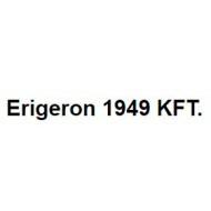 Erigeron 1949 Kft. Logo