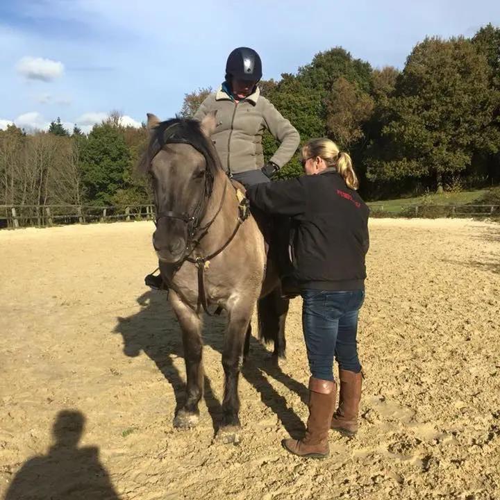 Images Mayfield Saddlery