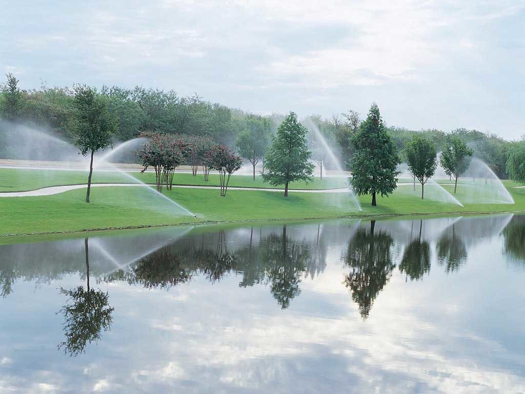 A commercial turf or golf course sprinkler system watering green grass fields next to a scenic lake.