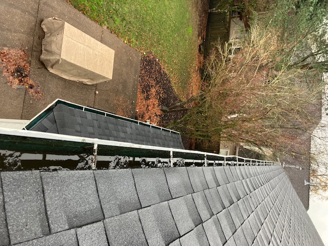 Haupt To It Gutters and Roofs Image