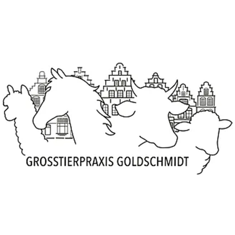Dr. Hauke Goldschmidt prakt. Tierarzt  