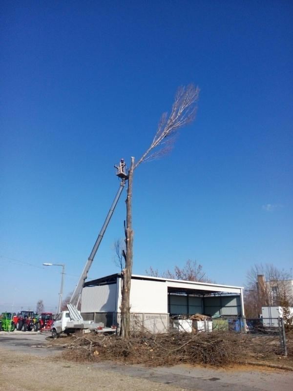 Images Kapui Szilárd villanyszerelés