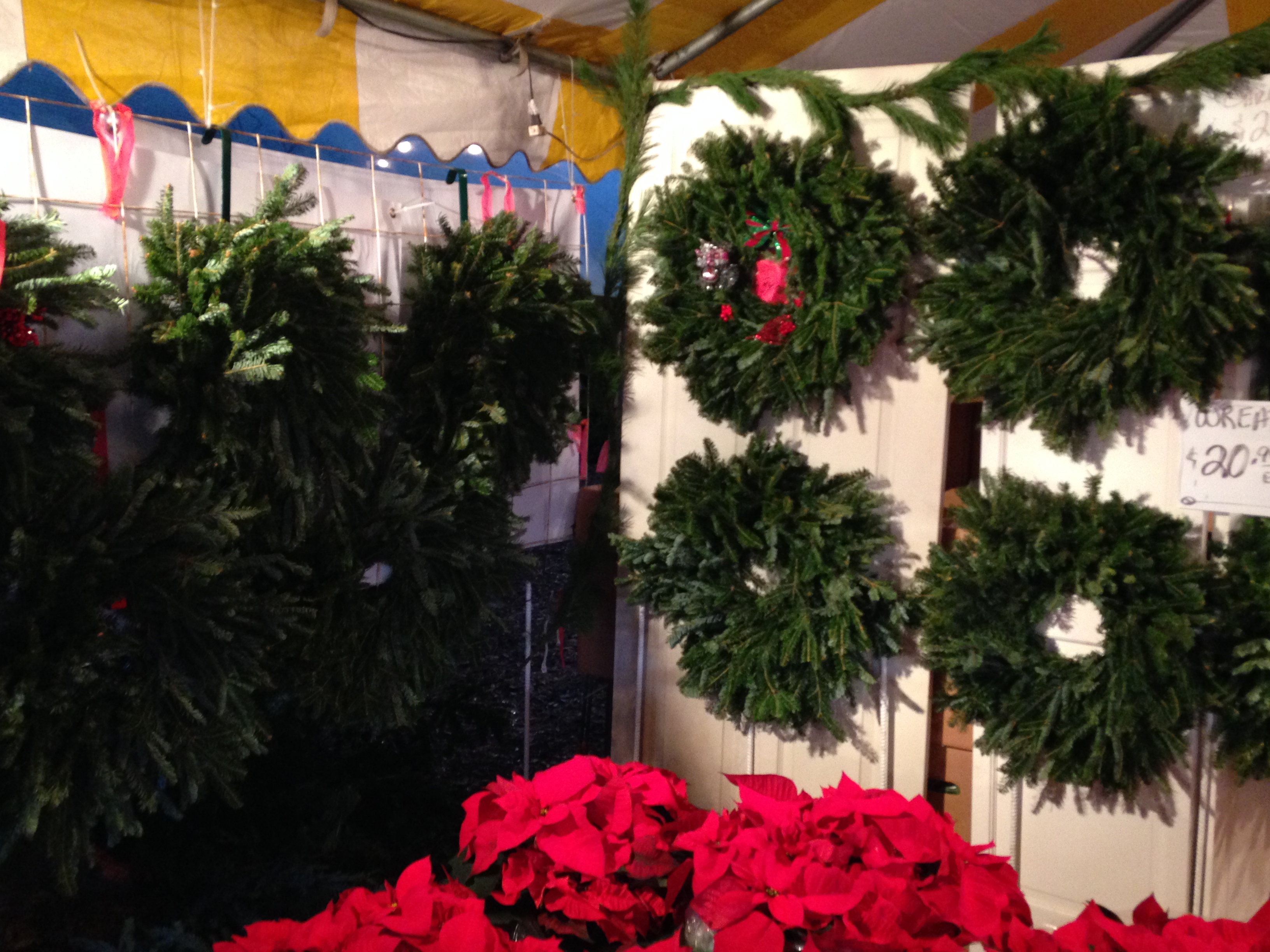 Fresh- Hand -made- Fraser- fir-wreaths