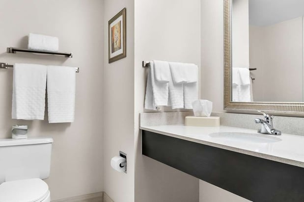 Images Best Western Okemos/East Lansing Hotel & Suites