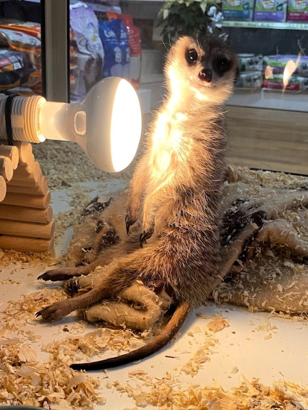 Images L'Arca di Gio'