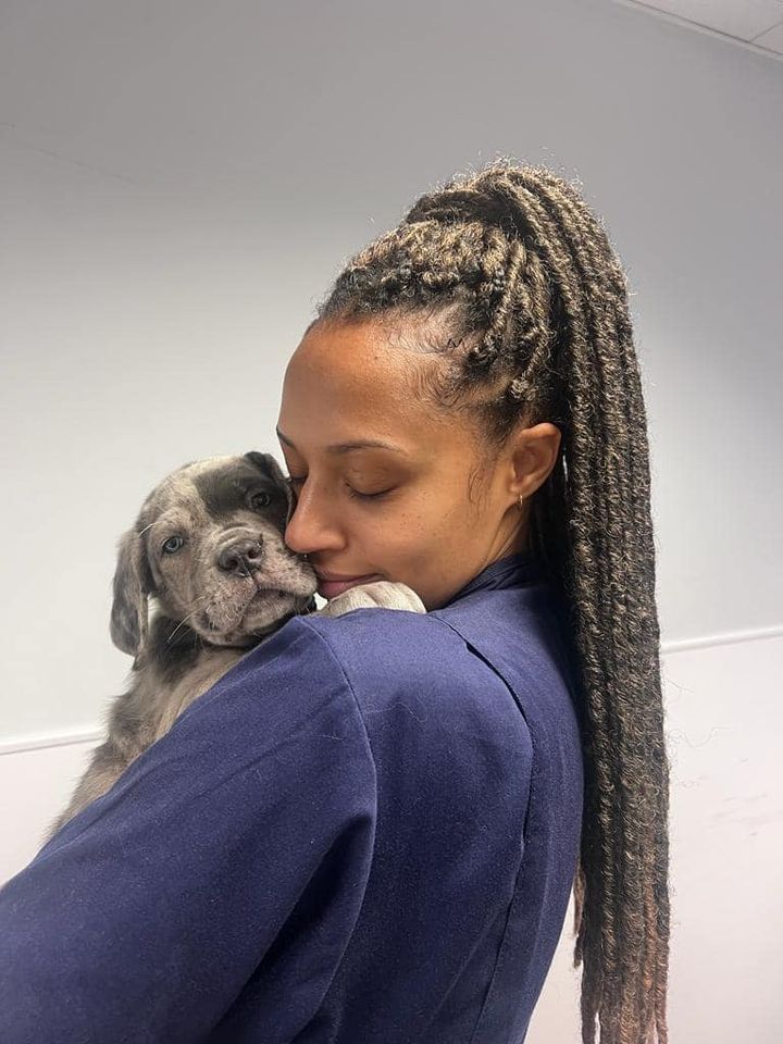 Images Streatham Hill Veterinary Surgery