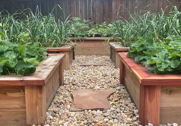 Images Edible Gardens Inc