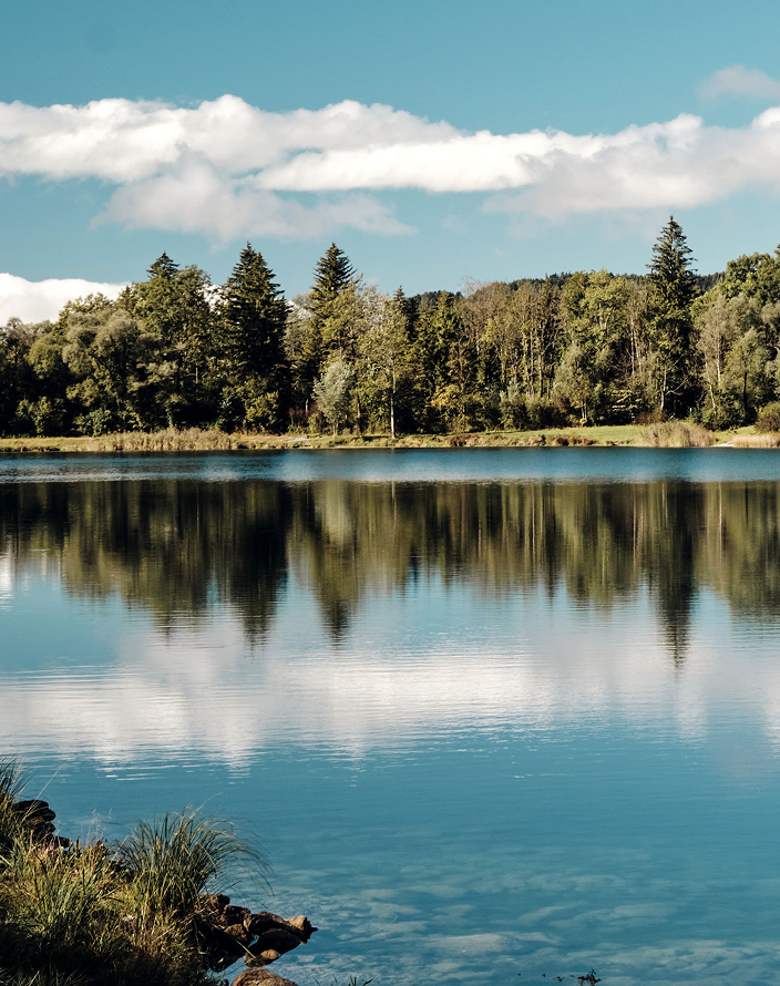 A calm lake surrounded by trees on a partly cloudy day.