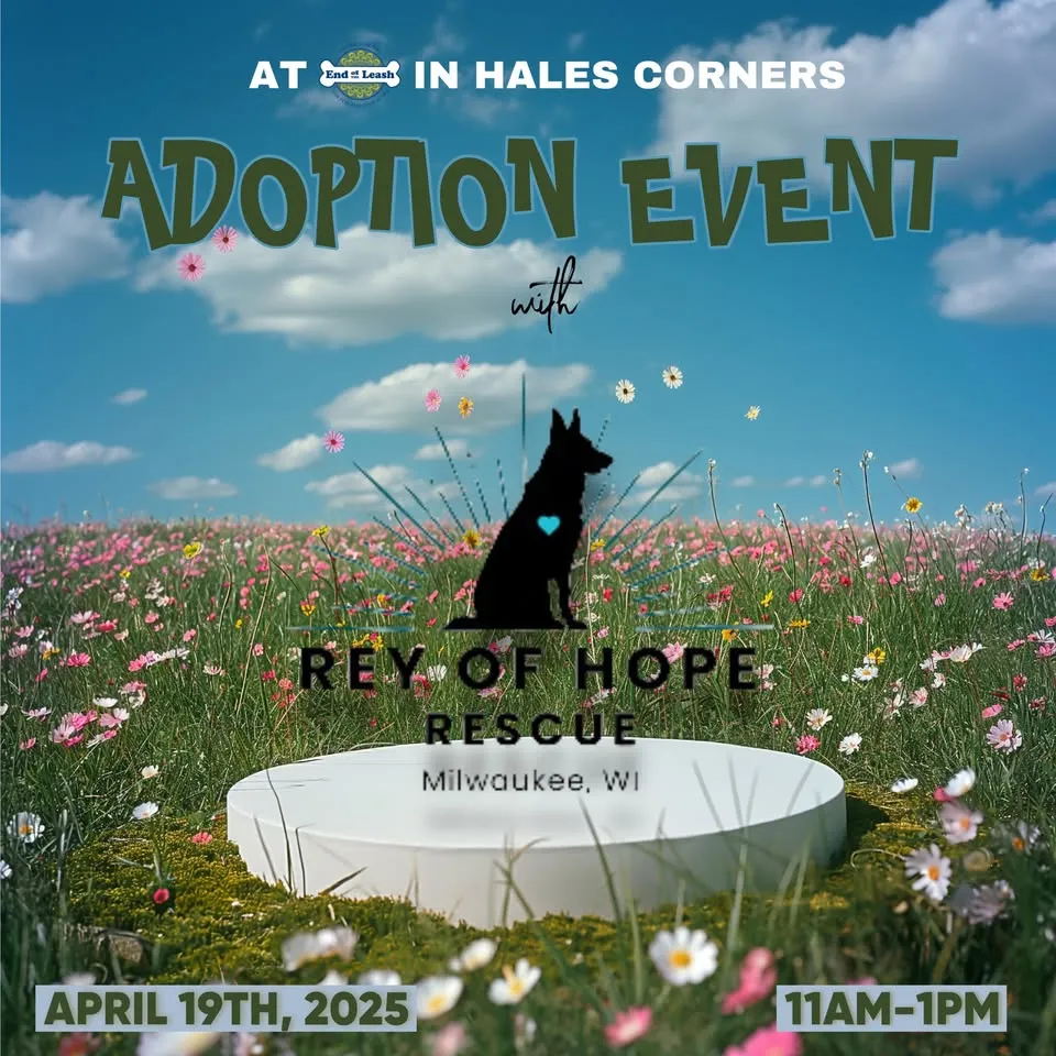 Image of Local Pet Event Adoption Event with Rey of Hope Rescue in HALES CORNERS Nearby
