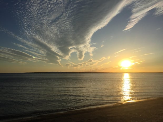 Images Reynolds Physical Therapy + Wellness