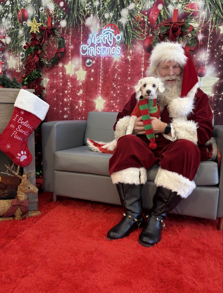 The Dog Stop - Katy Image