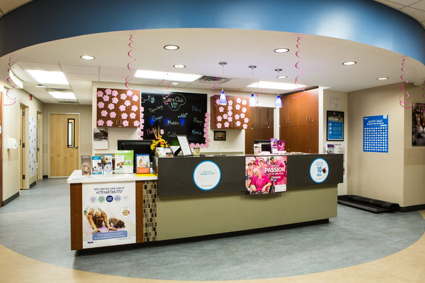 Images Bayview Animal Hospital