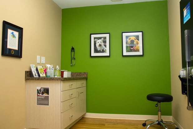 Images North Main Animal Hospital