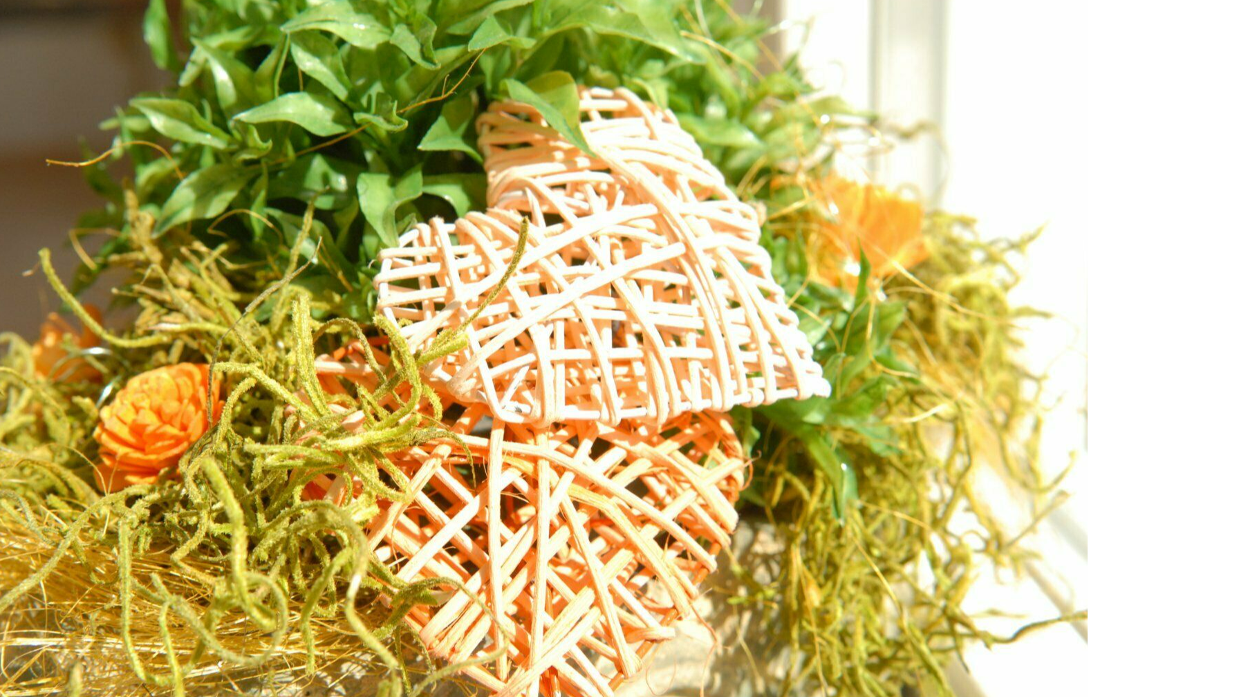 Positana Physio, Binderstraße 11 in Hildesheim