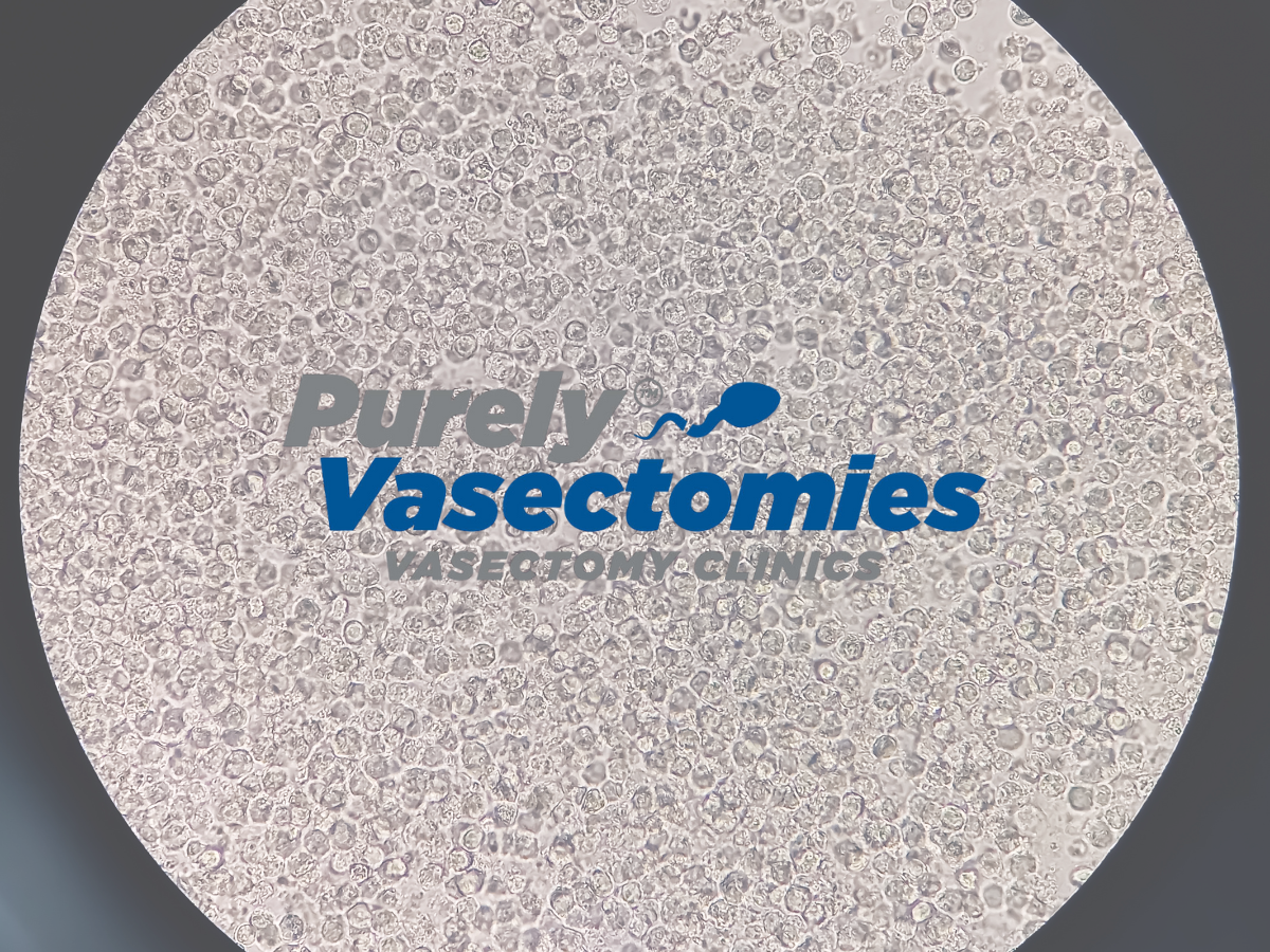 Local Scottsdale clinic offering affordable vasectomy options
