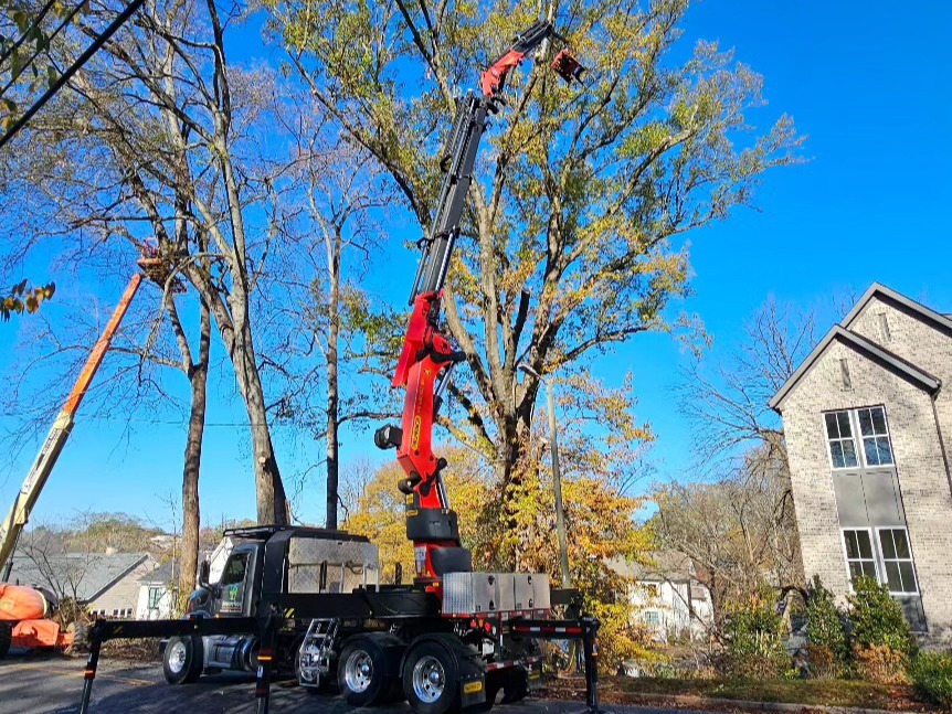 SecureTree Services