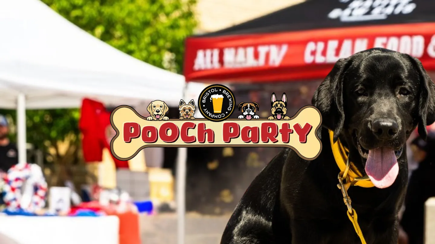 Image of Local Pet Event Bristol's Pooch Party Nearby